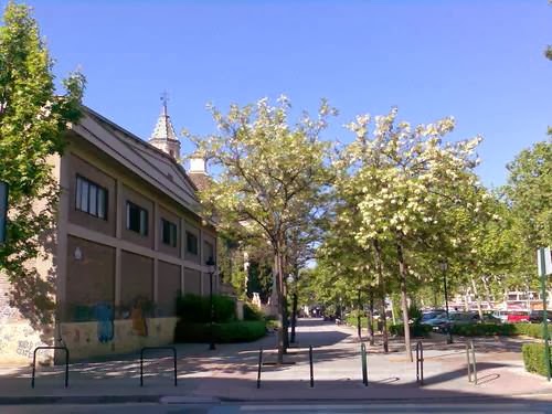 Polideportivo Genil