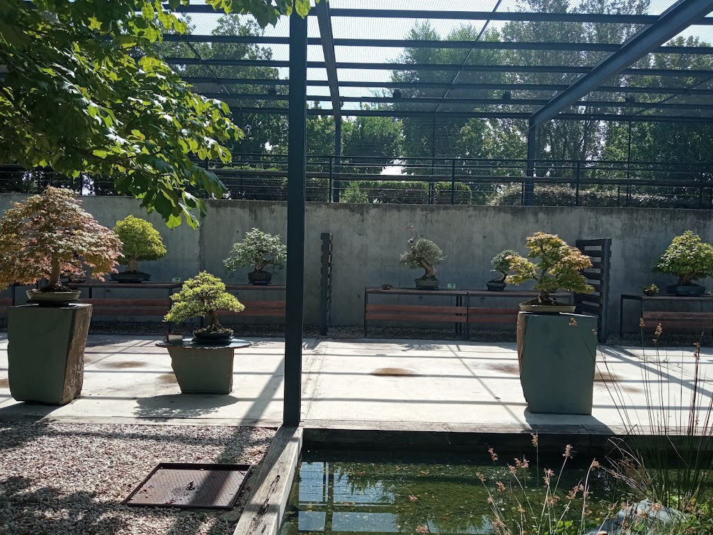 Jardin Botanico. Museo del Bonsai