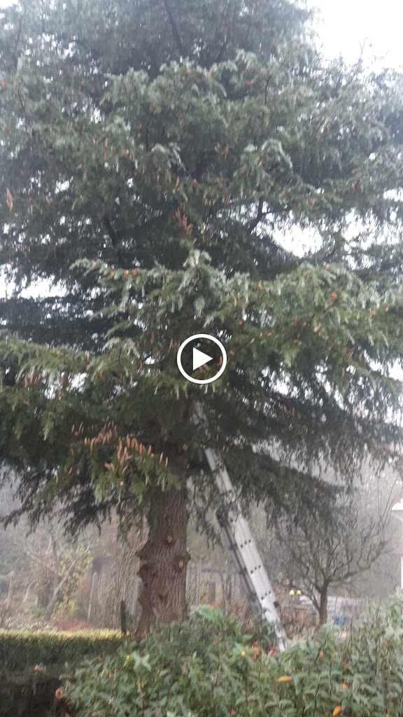 Videos