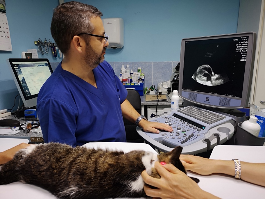 Centro Veterinario El Madronal — Del propietario