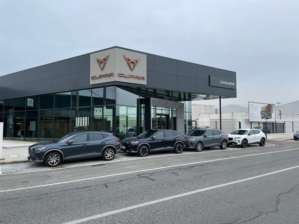 Caysa Movil - Cupra — Automovil