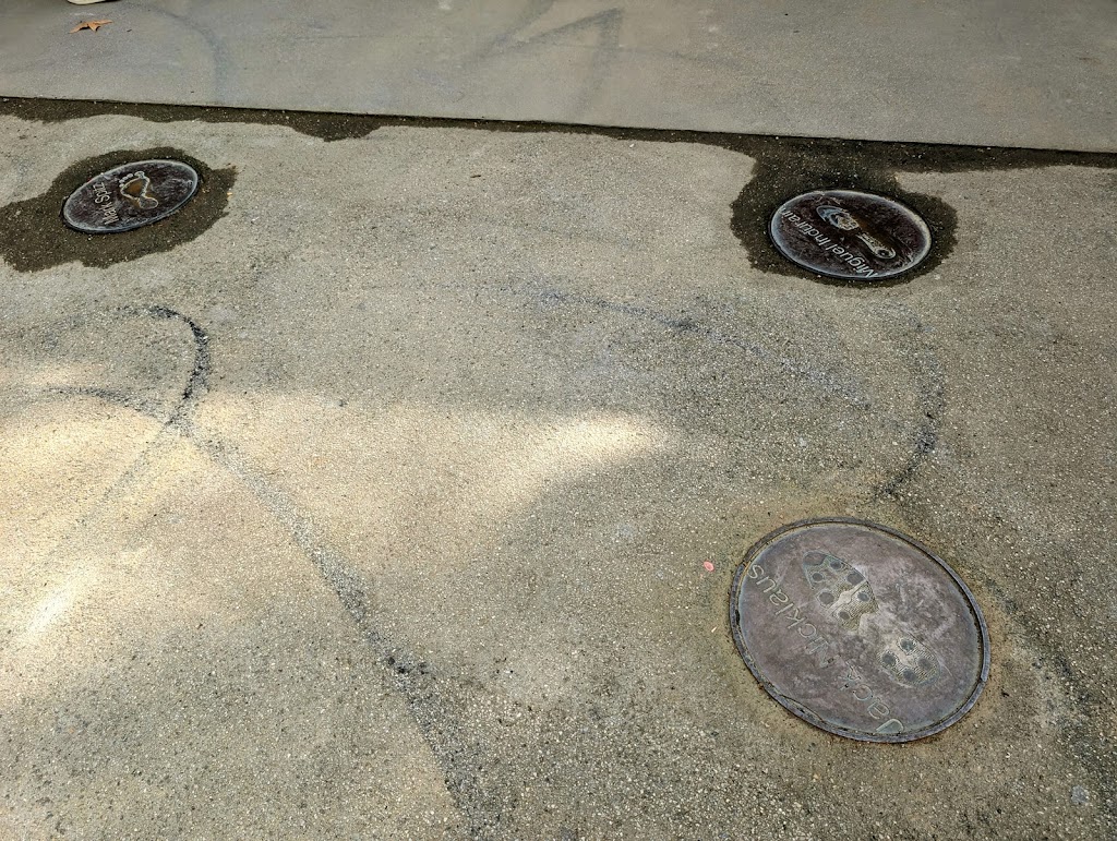 Passeig de la fama dels esportistes