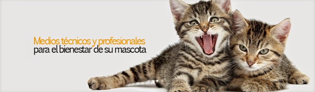 Clinica Veterinaria Sant Antoni