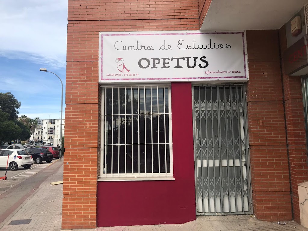 Centro de Estudios OPETUS — Del propietario