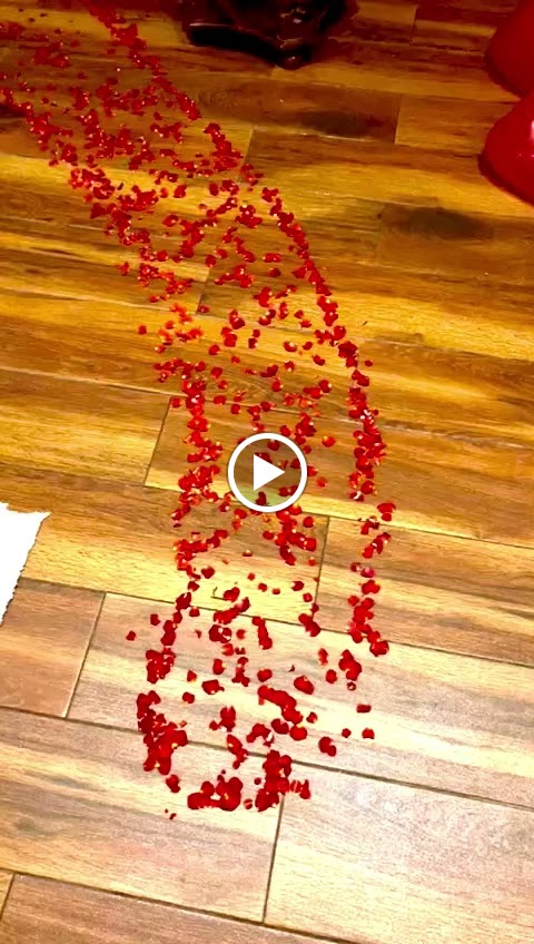 Videos