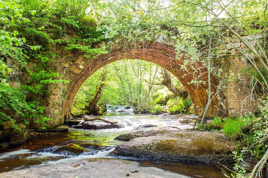 Puente Rojadillo