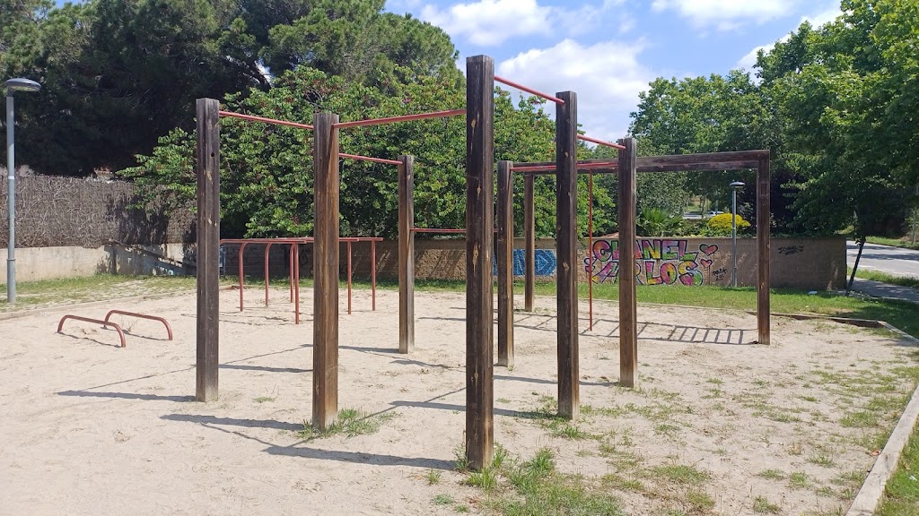 Calistenia Castellar del Valles