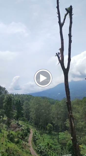 Camping Ground Bumi Kubang