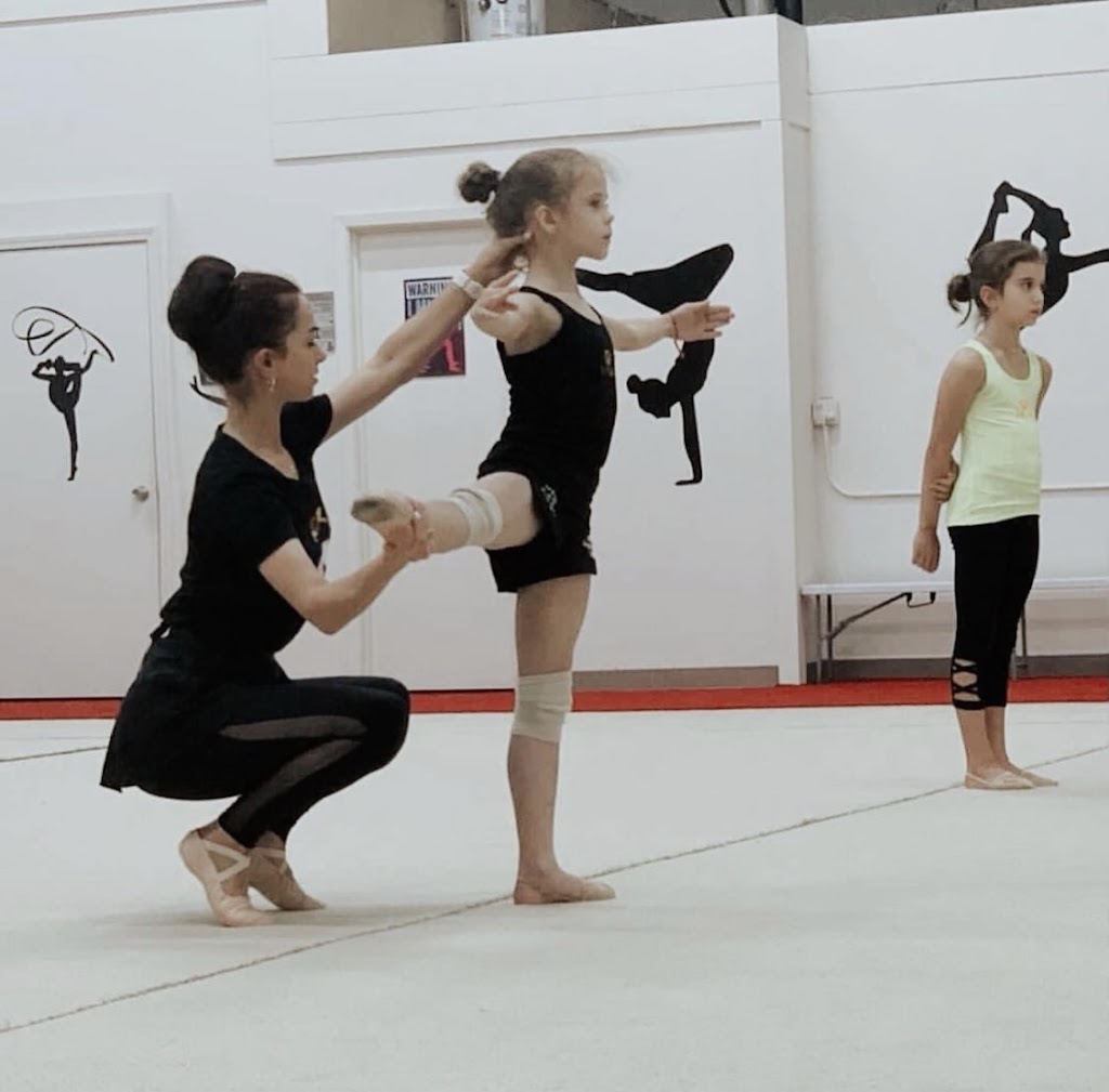  VVL Rhythmic Academy