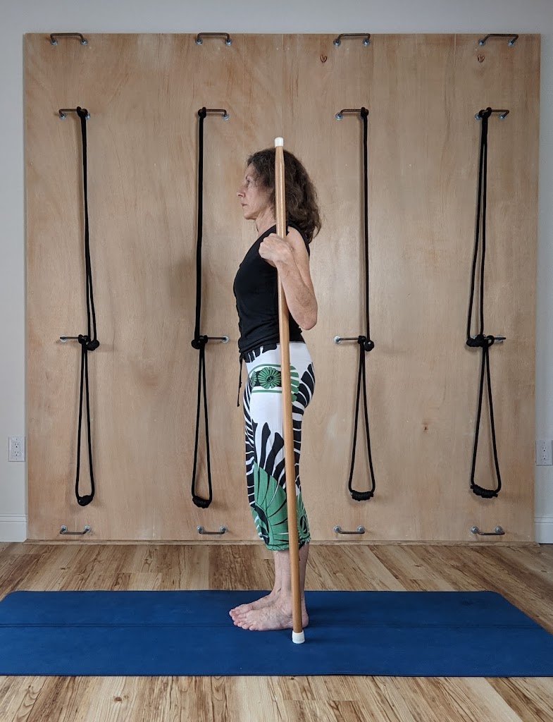  Sarasota Scoliosis & Backcare