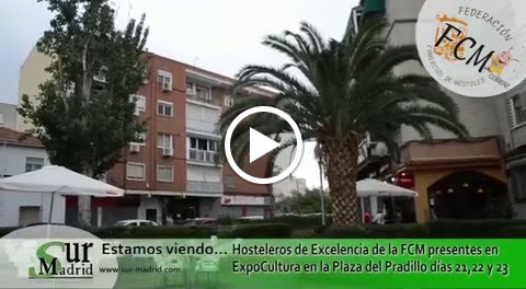 ACEPA Mostoles — Del propietario