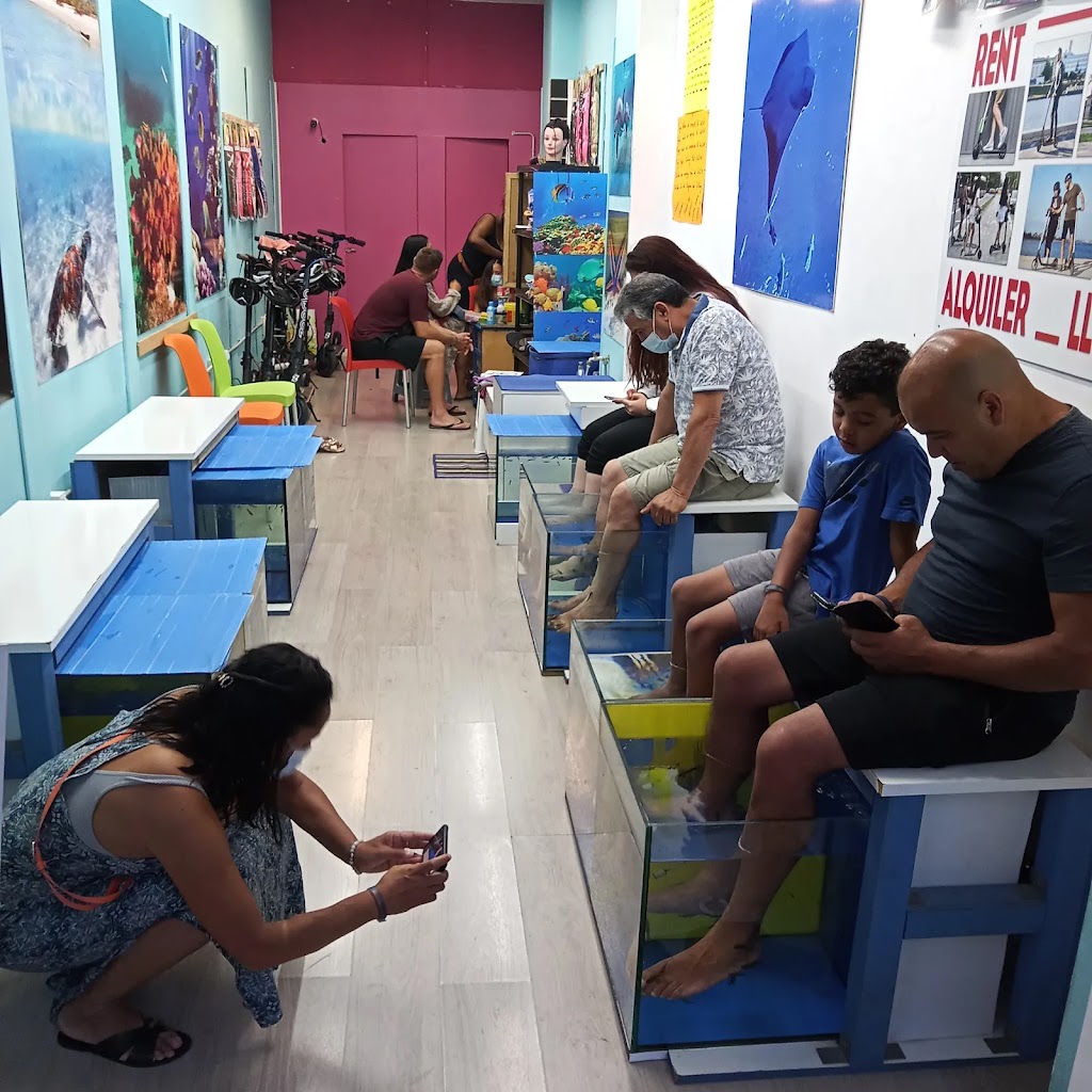 Rent scooters, bicycle, velo, passeig Maritim 76 Malgrat de Mar