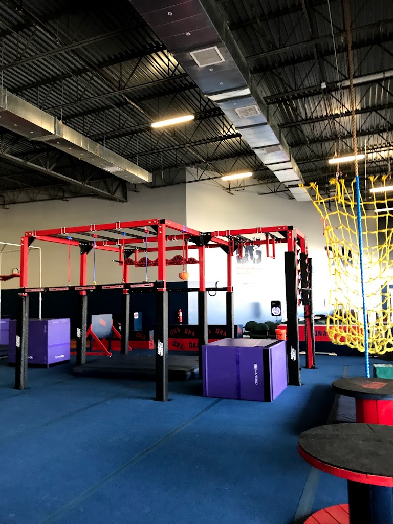  Downriver Gymnastics