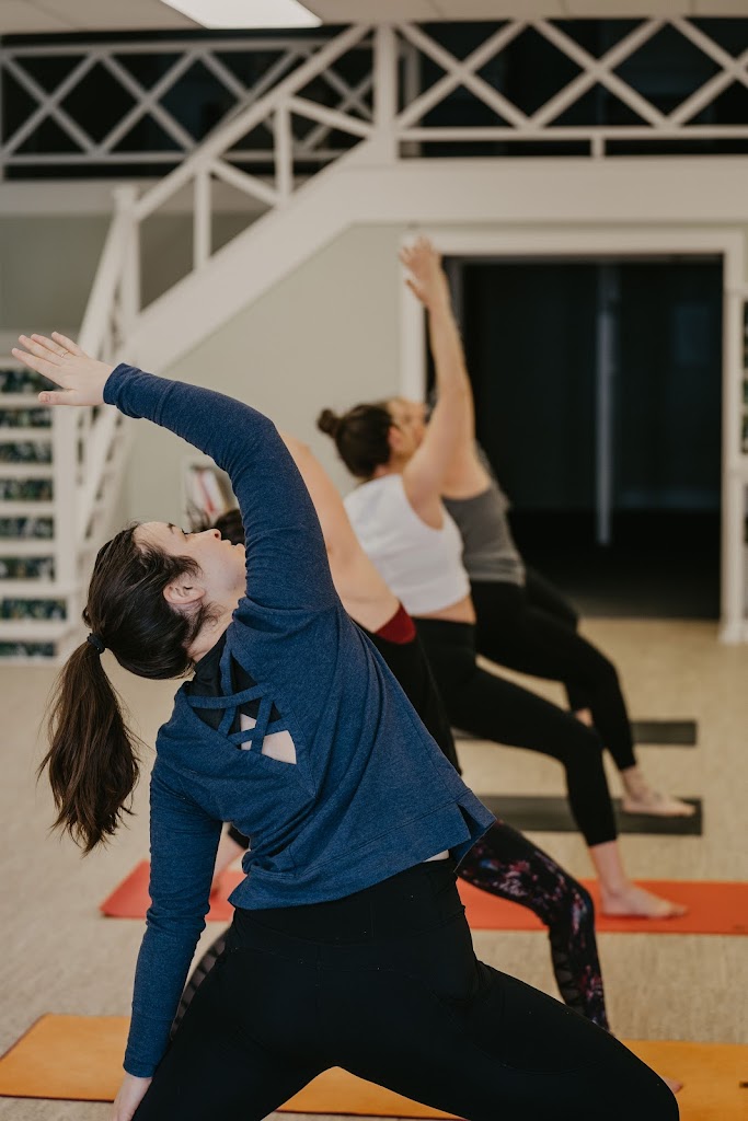  Rooted Yoga + Fitness