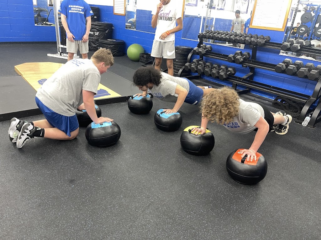  Viking Performance Training LLC