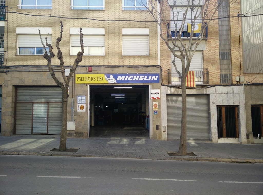 Neumaticos Fisa Michelin