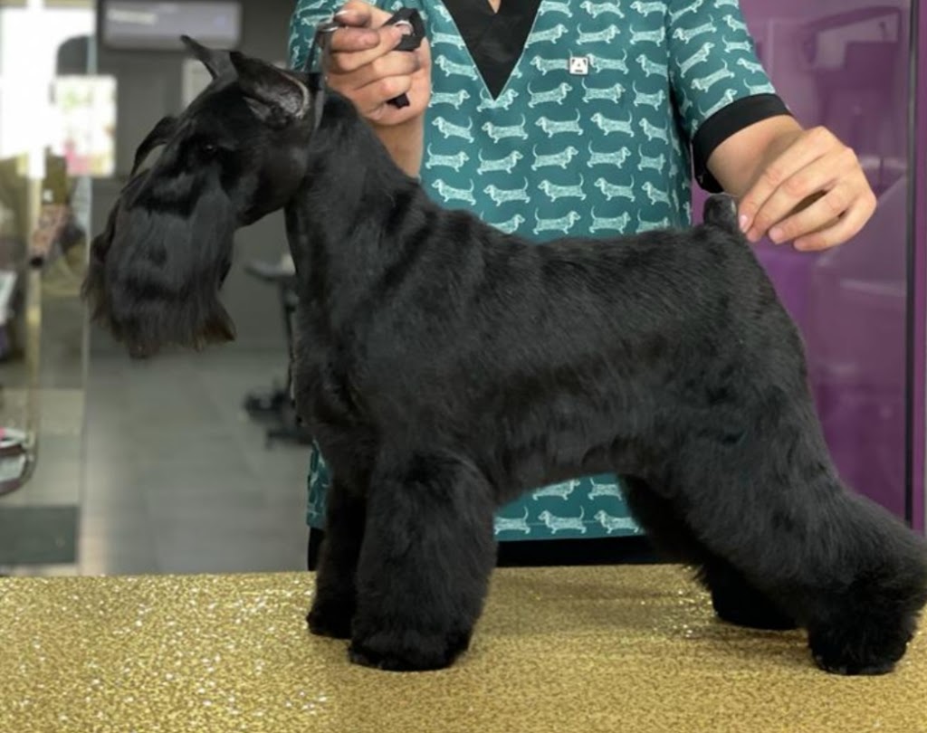 Violet's peluqueria canina y academia de peluqueria canina