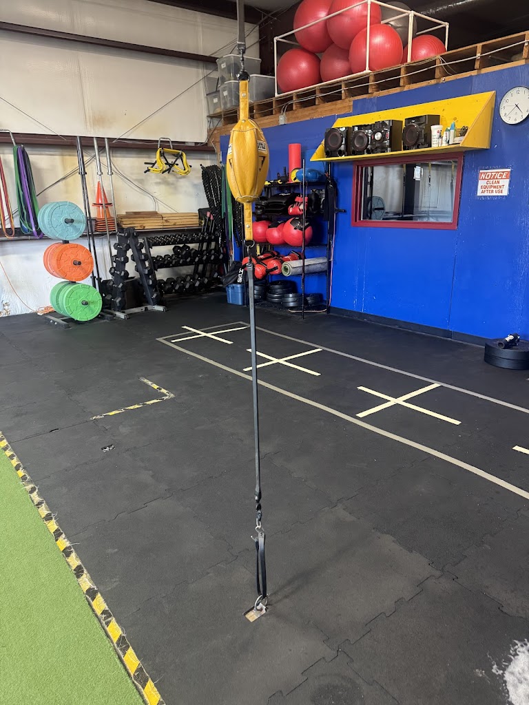  Premier Boxing for Fitness