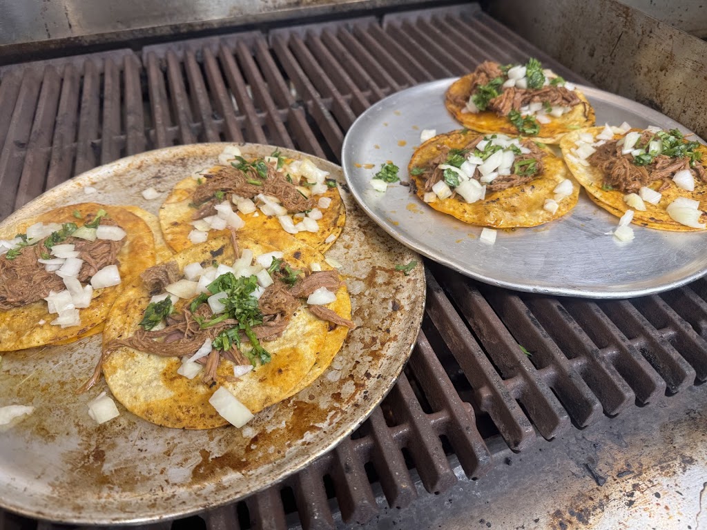 TacOasis