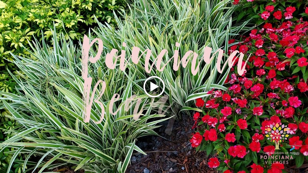  APV Fitness Center and Gymnasium