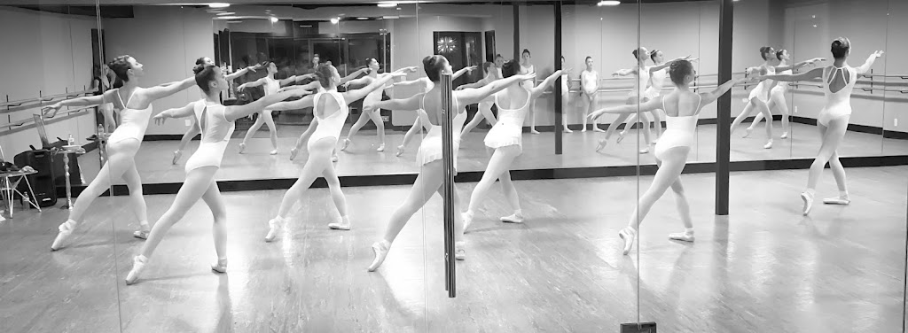  David Matthew Studios