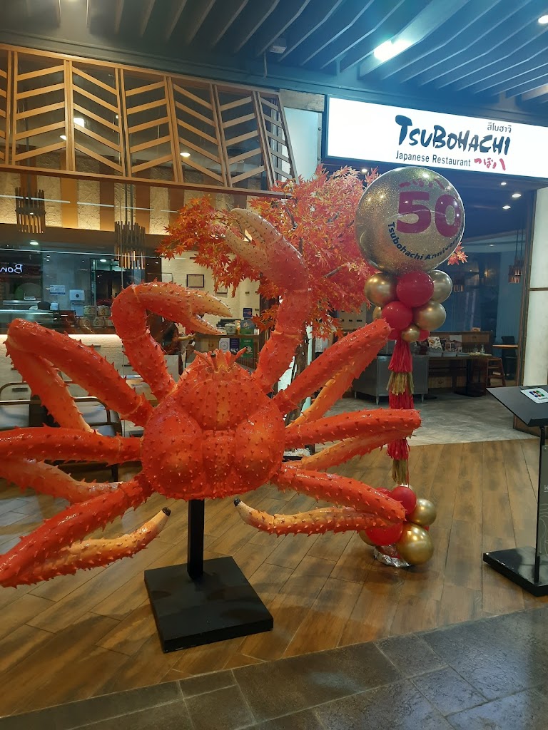 Tsubohachi Zpell @ Future Park의 사진