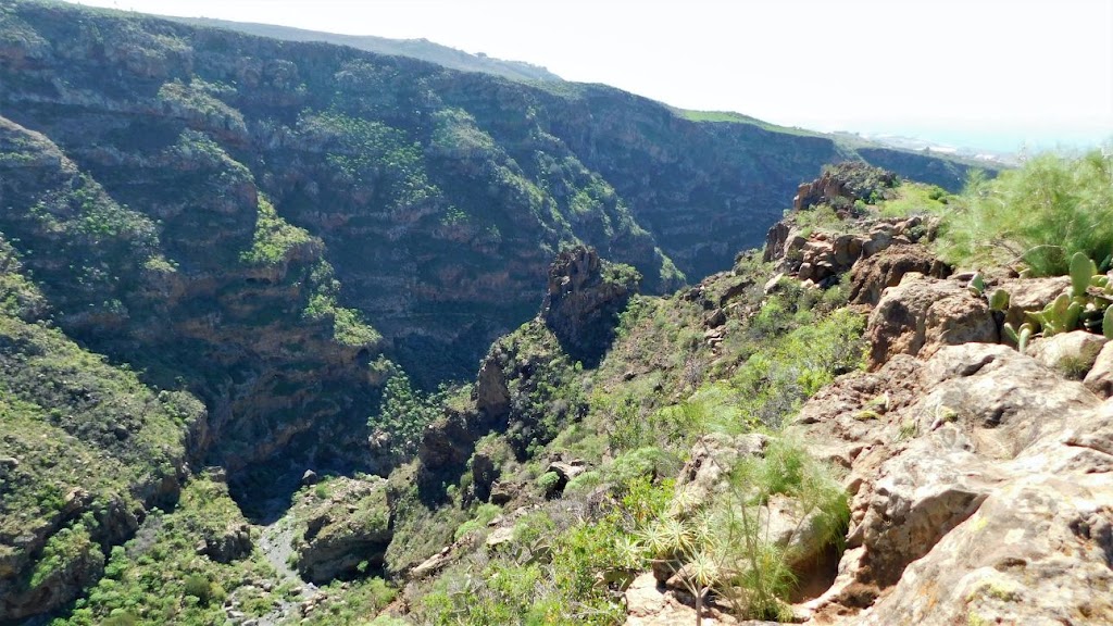 Camino Real, Camino de Chacoroche.