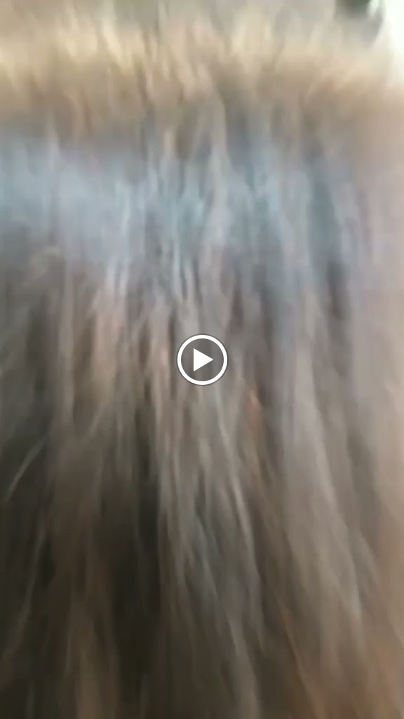 Pam S Salon Academy Unisex