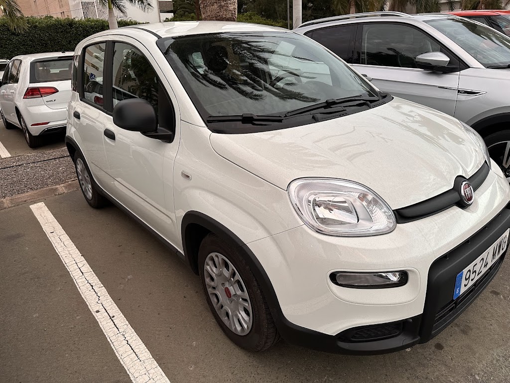 Amurga rent a car sl