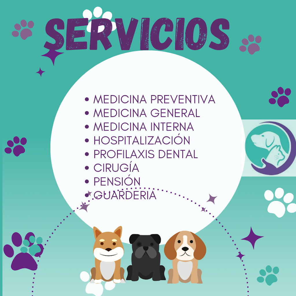 Perro