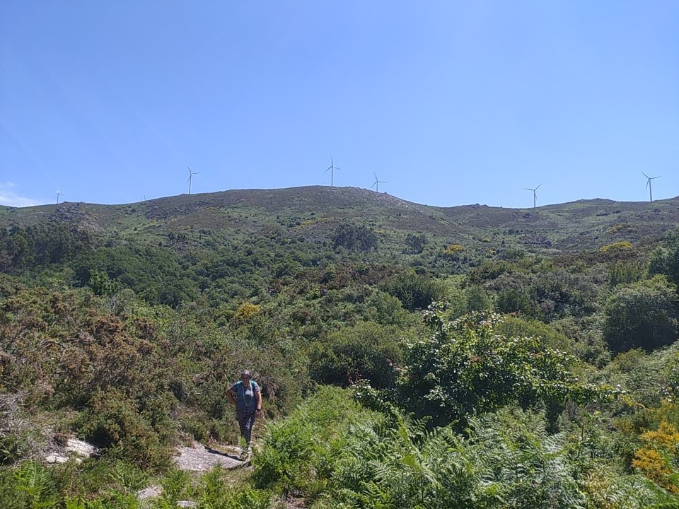 Ruta da libertade