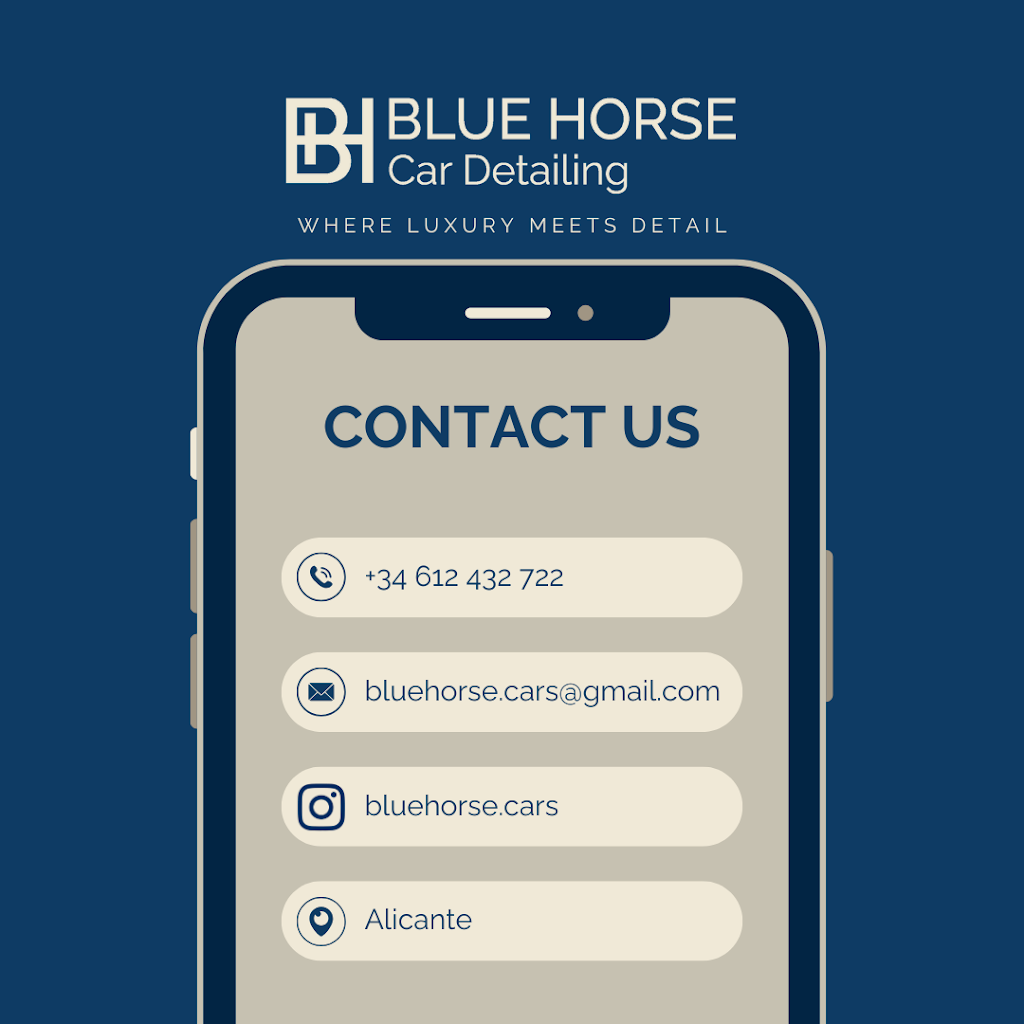BLUE HORSE CAR DETAILING — Mas recientes