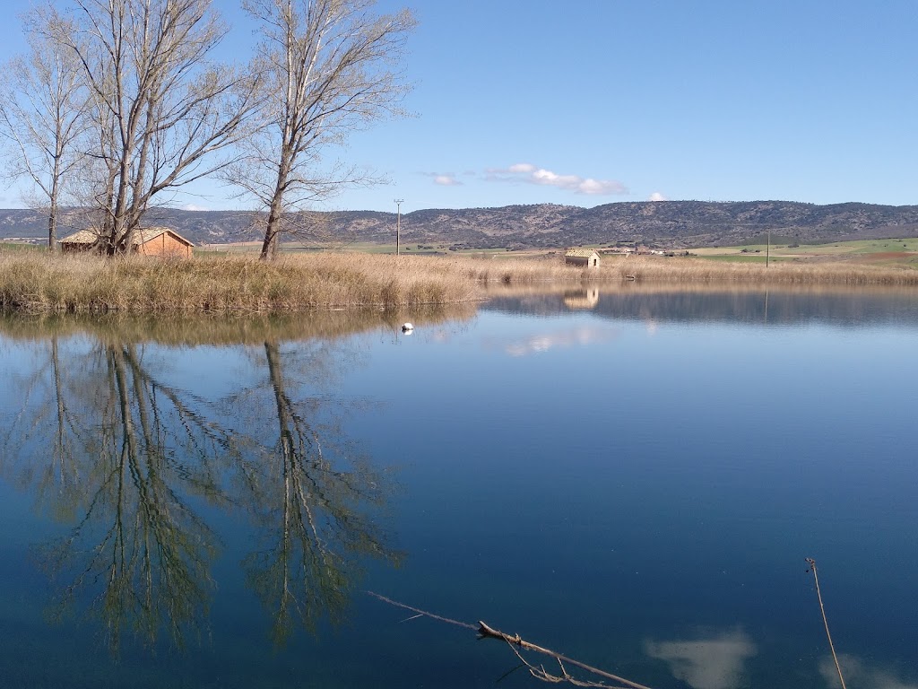 Complejo lagunar del Rio Moscas