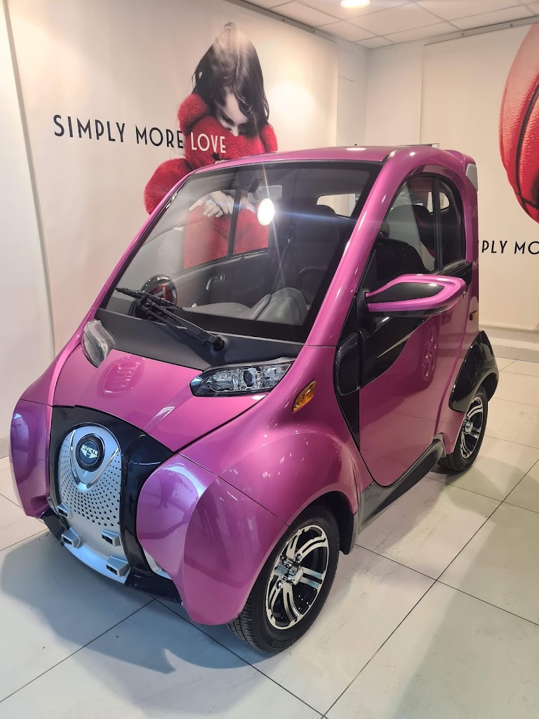 Automoviles Nemesio — Hatchback