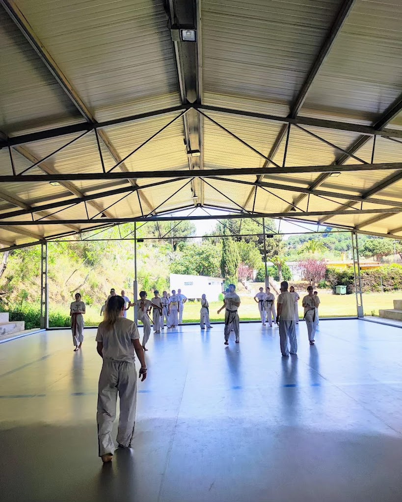 Club Taekwondo Warriors