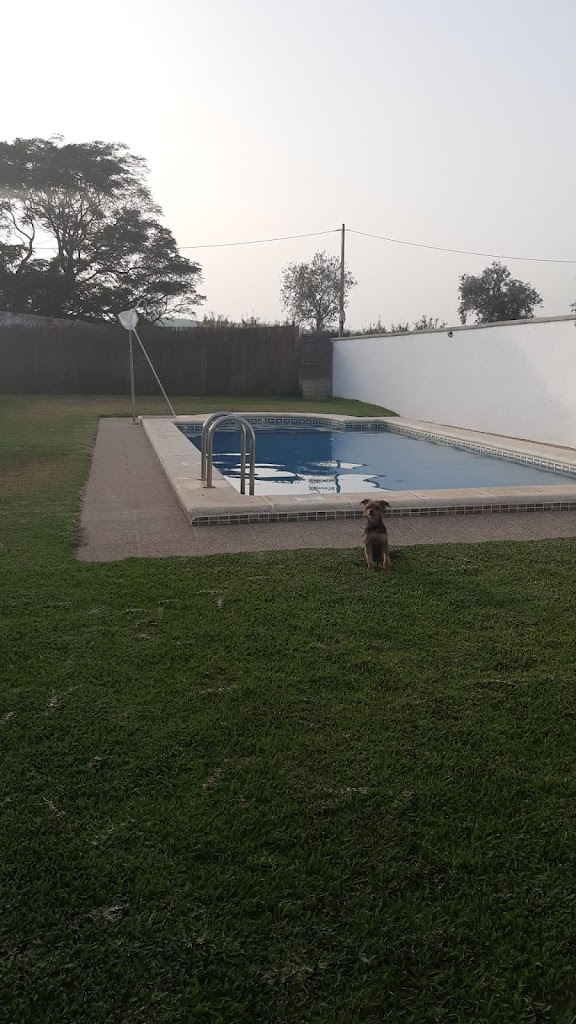 Jardines y Piscinas Fernando