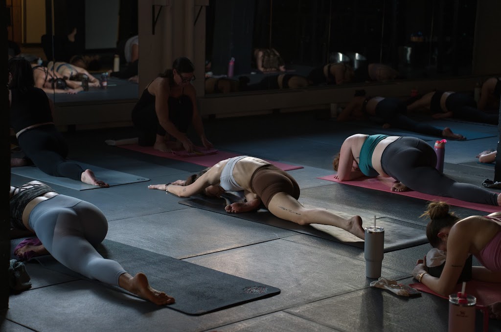  ONX + Amelia | Northeast