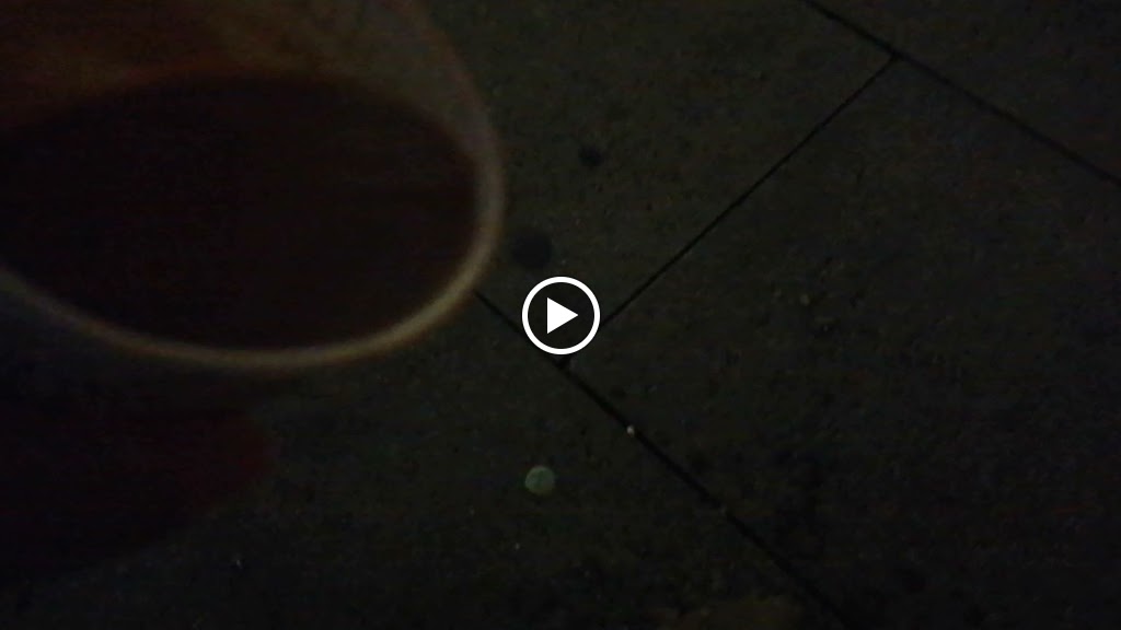 Cafeteria HUN — Videos