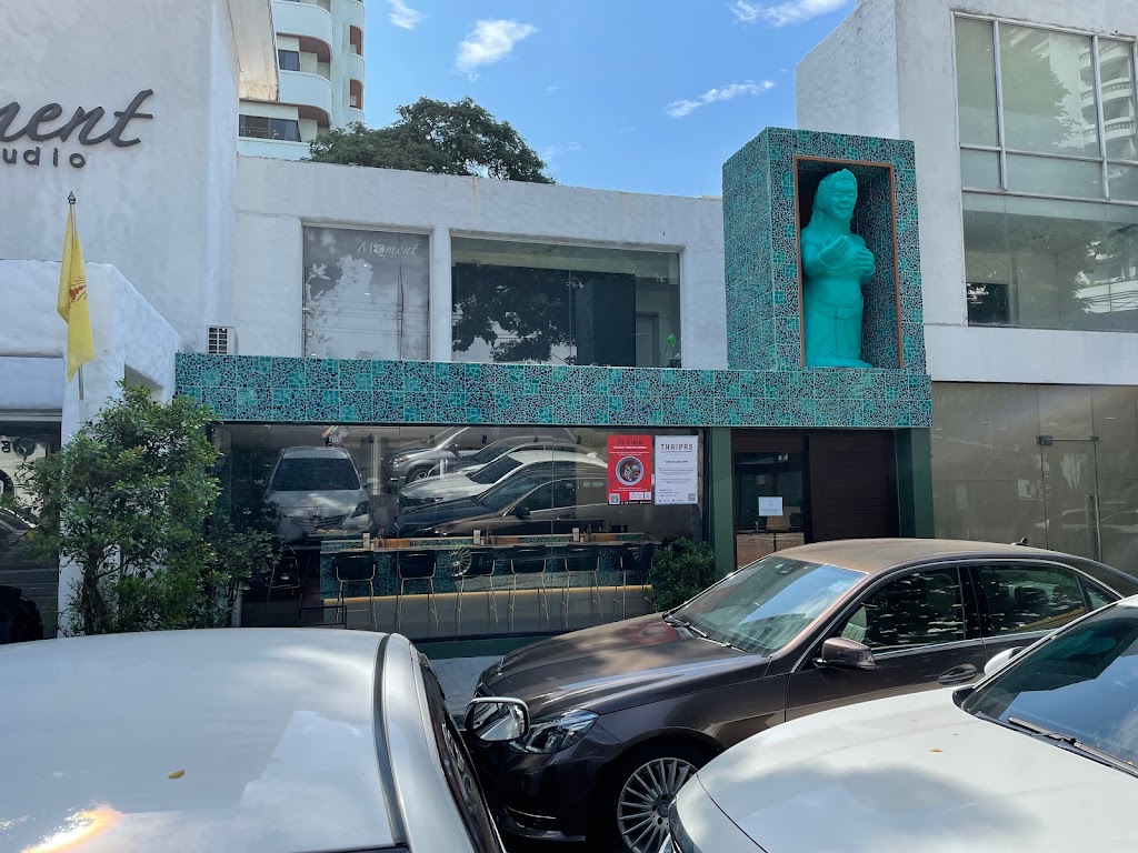 타이파스의 사진