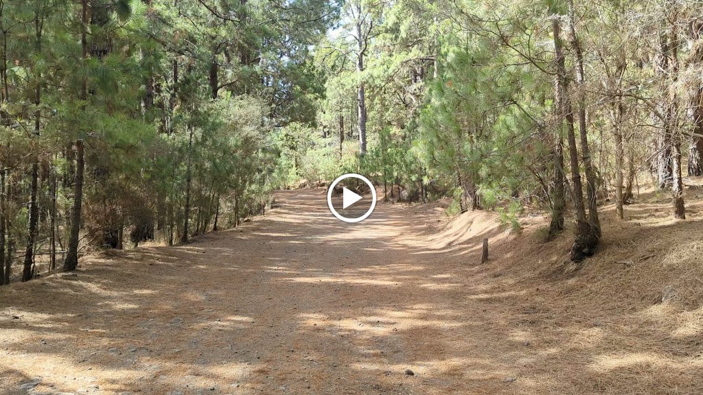 Pista los Ovejeros — Videos