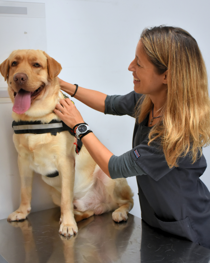 Provitas Veterinaria — Perro