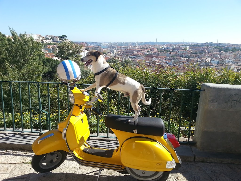 Lisbon Vintage Scooter em Lisbon