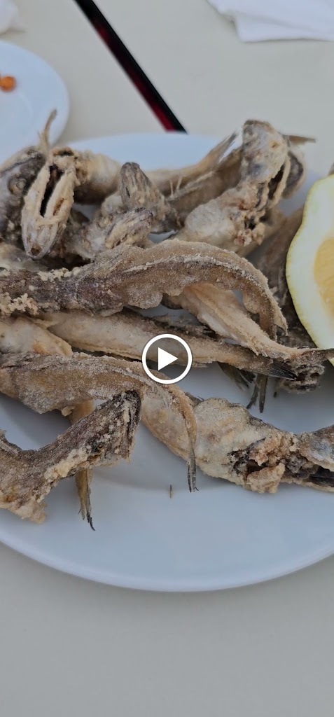 Gloria Mar — Videos