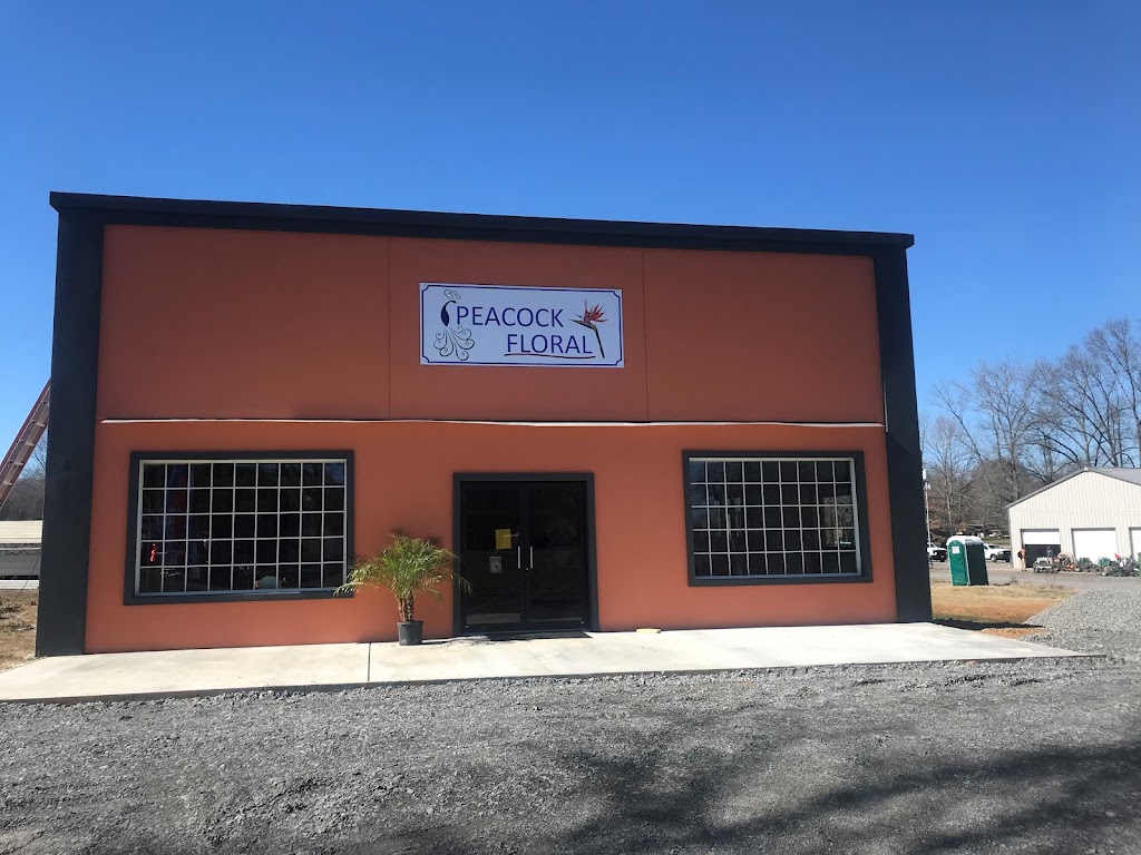 Peacock Floral