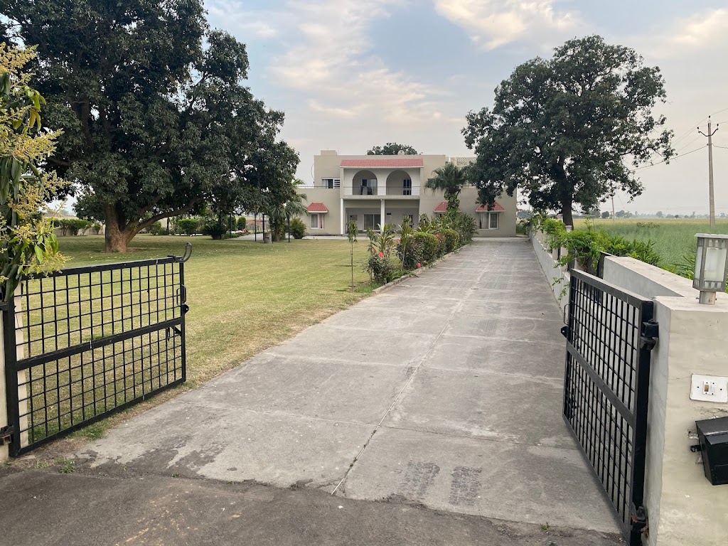 Mango Grove