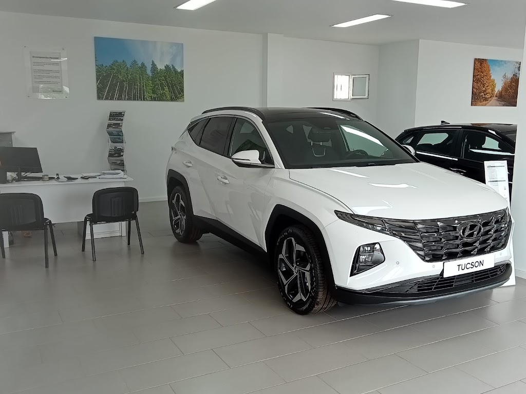 Hyundai Arucas — Interior