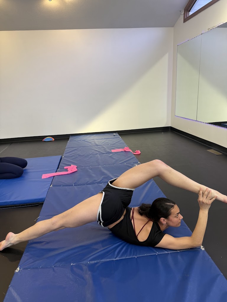  The Vibe Dance Company