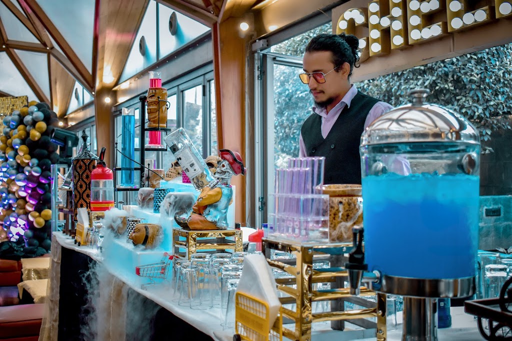 The Bar Stallion BARTENDING SERVICES and BAR CONSULTANT. ( Best and no.1 in MEERUT )