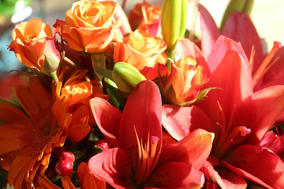 FANCY PETALS
