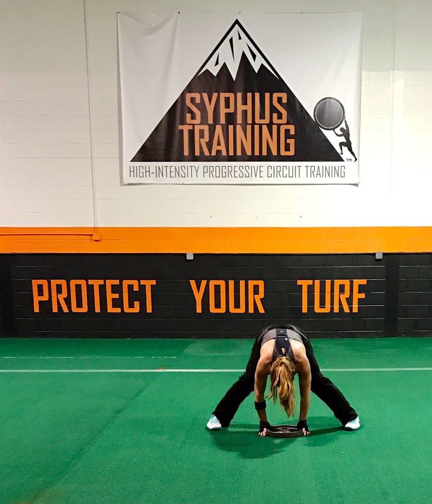  Syphus Training